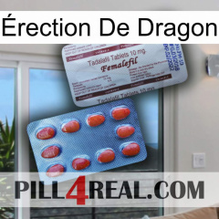 Érection De Dragon 36
